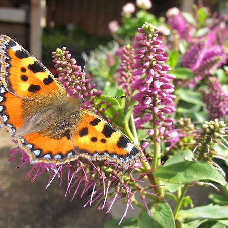 Birkende Bed And Breakfast Langeskov エクステリア 写真