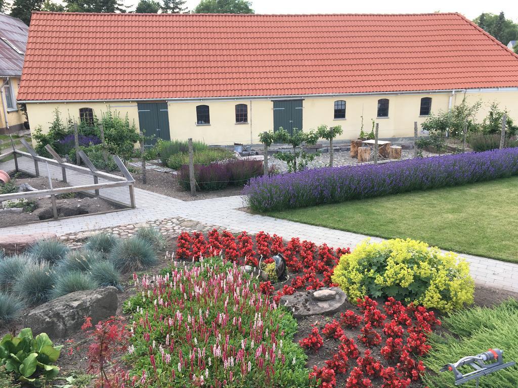 Birkende Bed And Breakfast Langeskov エクステリア 写真