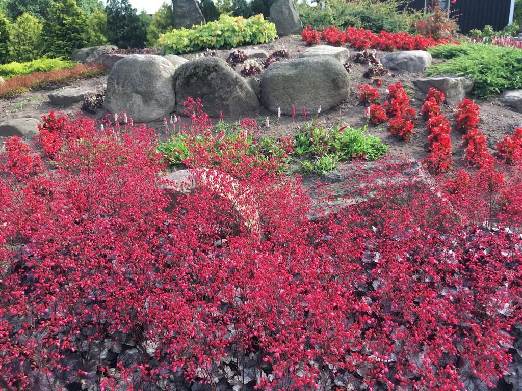Birkende Bed And Breakfast Langeskov エクステリア 写真