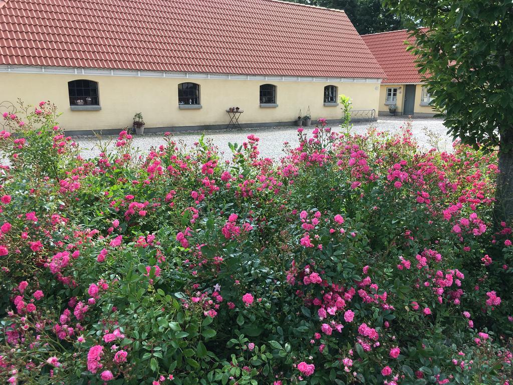 Birkende Bed And Breakfast Langeskov エクステリア 写真